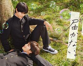 晚娘搜索海报剧照