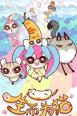 国产主播拍拍拍免费观看海报剧照